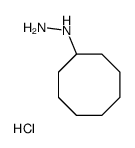 1-环辛基肼盐酸盐结构式