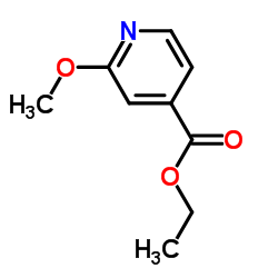 Ethyl 2-methoxyisonicotinate picture