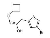 2-(4-bromothiophen-2-yl)-N-cyclobutyloxyacetamide Structure