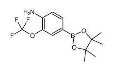 4-(4,4,5,5-tetramethyl-1,3,2-dioxaborolan-2-yl)-2-(trifluoromethoxy)aniline picture