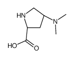 (4R)-4-(dimethylamino)-L-proline(SALTDATA: 2HCl) Structure