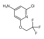 2-chloro-6-(2,2,2-trifluoroethoxy)pyridin-4-amine结构式
