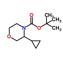 2-Methyl-2-propanyl 3-cyclopropyl-4-morpholinecarboxylate结构式