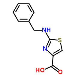 2-(Benzylamino)-1,3-thiazole-4-carboxylic acid图片