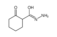 Cyclohexanecarboxylic acid, 2-oxo-, hydrazide (9CI) picture
