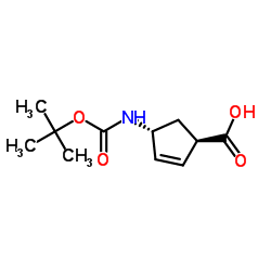 (1R,4R)-4-((Tert-butoxycarbonyl)amino)cyclopent-2-enecarboxylic acid picture