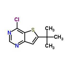 6-(叔丁基)-4-氯噻吩并[3,2-d]嘧啶结构式