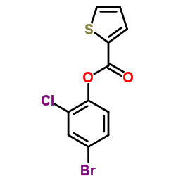 4-Bromo-2-chlorophenyl 2-thiophenecarboxylate结构式