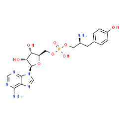 tyrosinyl-5'-AMP结构式