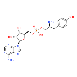 tyrosinyl-5'-AMP Structure