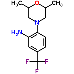 2-(2,6-Dimethyl-4-morpholinyl)-5-(trifluoromethyl)aniline结构式