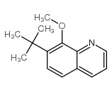 7-tert-butyl-8-methoxyquinoline结构式