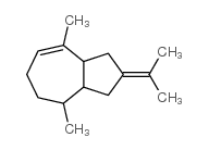 1,2,3,3a,4,5,6,8a-octahydro-2-isopropylidene-4,8-dimethylazulene结构式
