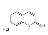 2-氨基-4-甲基喹啉盐酸盐图片