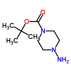 tert-Butyl 4-aminopiperazine-1-carboxylate Structure