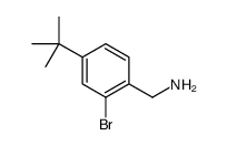 (2-Bromo-4-tert-butyl-phenyl)-Methyl-amine结构式