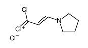 1-(3,3-dichloroprop-2-enylidene)pyrrolidin-1-ium,chloride结构式