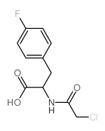 2-[(2-chloroacetyl)amino]-3-(4-fluorophenyl)propanoic acid结构式