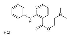 2-(dimethylamino)ethyl 2-anilinopyridine-3-carboxylate,hydrochloride Structure