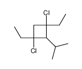 r-1,t-3-Dichlor-1,3-diethyl-t-2-isopropylcyclobutan结构式