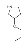 (R)-3-丙氧基-吡咯烷结构式