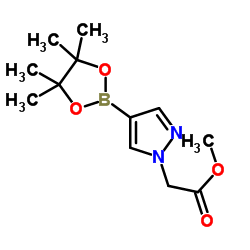 4-(4,4,5,5-四甲基-1,3,2-二噁硼烷-2-基)-1H-吡唑-1-乙酸甲酯图片