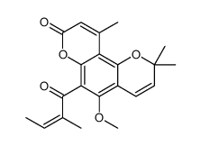 5-methoxy-2,2,10-trimethyl-6-[(E)-2-methylbut-2-enoyl]pyrano[2,3-f]chromen-8-one Structure