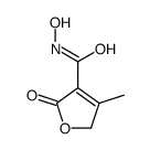 3-Furancarboxamide,2,5-dihydro-N-hydroxy-4-methyl-2-oxo-(9CI)结构式