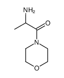 4-alanyl-morpholine Structure