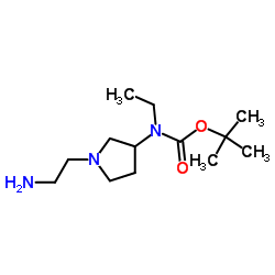 2-Methyl-2-propanyl [1-(2-aminoethyl)-3-pyrrolidinyl]ethylcarbamate Structure