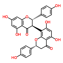 GB-1a Structure