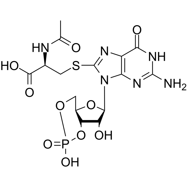 Cys-C-cGMP Structure