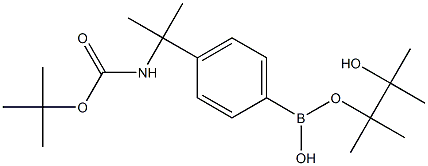 4-[2-(Boc-amino)-2-propyl]phenylboronic Acid Pinacol Ester Structure