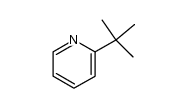 2-tert-butylpyridinium ion结构式