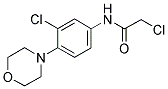 2-CHLORO-N-(3-CHLORO-4-MORPHOLIN-4-YL-PHENYL)-ACETAMIDE picture