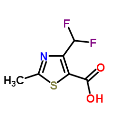 2-Methyl-4-(difluoromethyl)-1,3-thiazole-5-carboxylic acid Structure