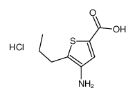 4-amino-5-propylthiophene-2-carboxylic acid,hydrochloride结构式