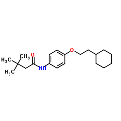 N-[4-(2-Cyclohexylethoxy)phenyl]-3,3-dimethylbutanamide Structure