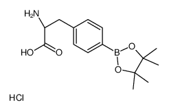 4-(4,4,5,5-Tetramethyl-1,3,2-dioxaborolan-2-yl)-L-phenylalanine h ydrochloride (1:1)结构式