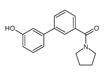 [3-(3-hydroxyphenyl)phenyl]-pyrrolidin-1-ylmethanone结构式