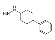 (4-Phenylcyclohexyl)hydrazine Structure