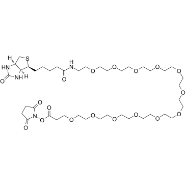 Biotin-PEG12-NHS ester structure