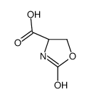 (4S)-2-oxo-1,3-oxazolidine-4-carboxylic acid Structure
