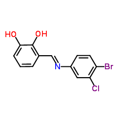 3-{(E)-[(4-Bromo-3-chlorophenyl)imino]methyl}-1,2-benzenediol Structure