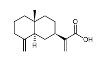 beta-Costic acid picture