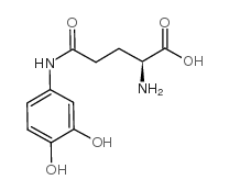 (2S)-5-amino-2-(3,4-dihydroxyanilino)-5-oxopentanoic acid结构式
