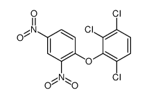 1,2,4-trichloro-3-(2,4-dinitrophenoxy)benzene Structure