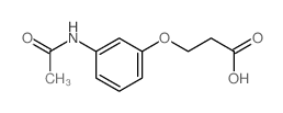 Propanoic acid,3-[3-(acetylamino)phenoxy]- picture