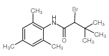 2-bromo-3,3-dimethyl-N-(2,4,6-trimethylphenyl)butanamide Structure