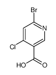 6-溴-4-氯烟酸结构式